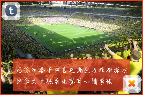 厄德高妻子坦言近期生活艰难深切怀念丈夫观看比赛时心情紧张