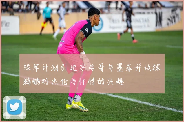 绿军计划引进字母哥与墨菲并试探鹈鹕对杰伦与怀特的兴趣