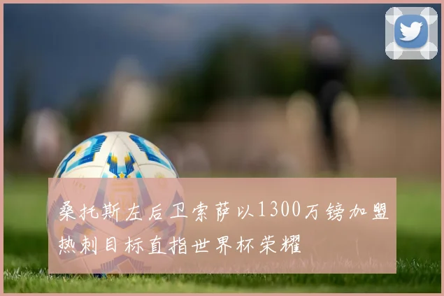 桑托斯左后卫索萨以1300万镑加盟热刺目标直指世界杯荣耀