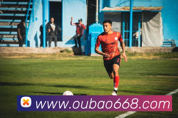 欧宝平台平台生态图